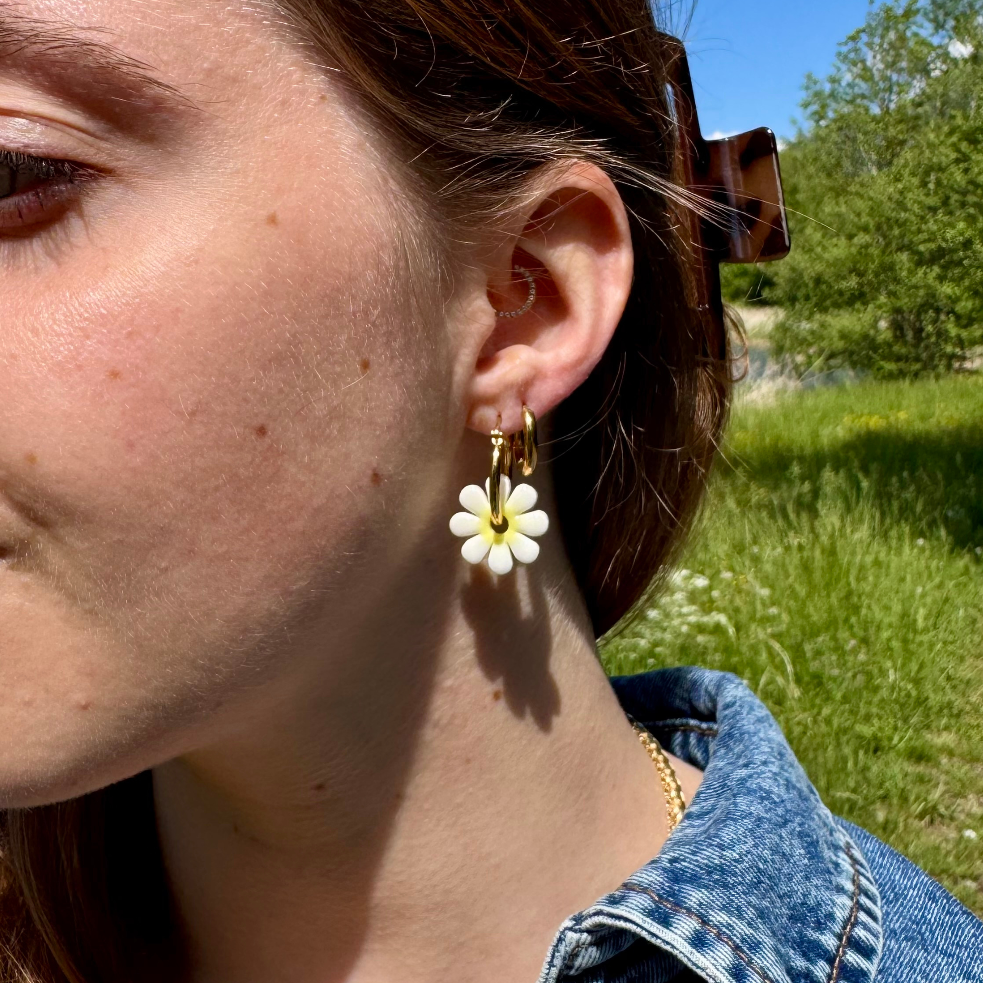 Pampilles marguerite